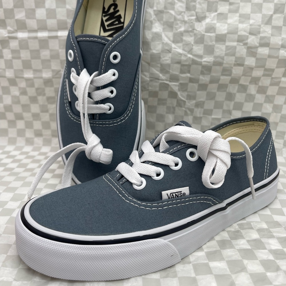 Vans Men’s Authentic
Color Theory Stormy Weather 
VN000EGARV2 Sneakers - Picture 2 of 16